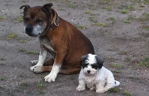 Walcha Casa | Walcha Royal Cafe & Accommodation