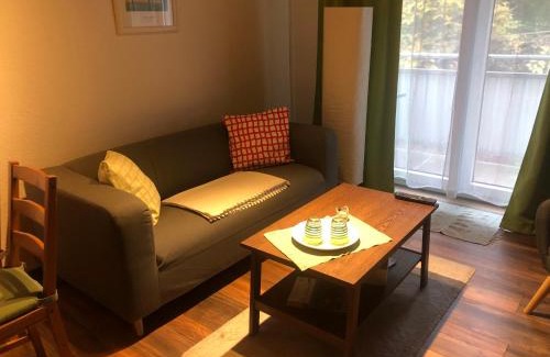 Bad Grund Apartamento | Waldläufer