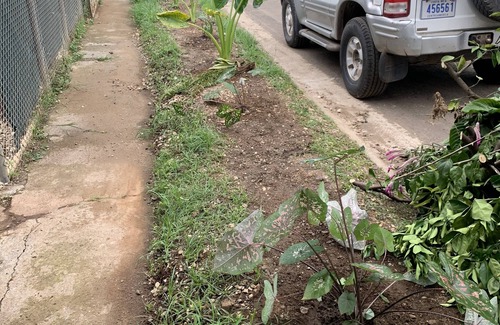 La Chorrera Condominio | Walk to beach and many shops in Playas del Coco , Costa Rica