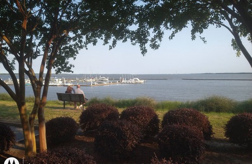 Kingsmill Apartamento | Walk to beach, large room on wooded lake, "Kingsmill on the James"