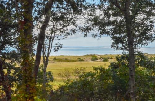 Brewster Casa | Walk to beach Secluded and private home and backyard