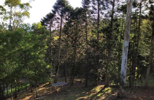 North Maleny Casa | Wallaby House at On Burgum Pond