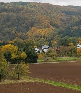 Melsbach Apartamento | Wanderoase