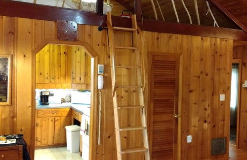 Port Republic Casa | Cabina de registro frente al mar con vista del millón de dólares, dientes de tiburón, hermoso baño