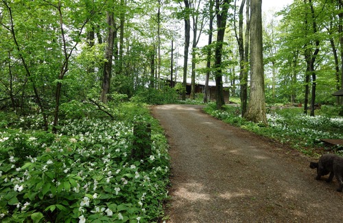 Northport Cabaña | Una cabaña privada, construida a mano con vista al lago Michigan, a 3 millas de Northport