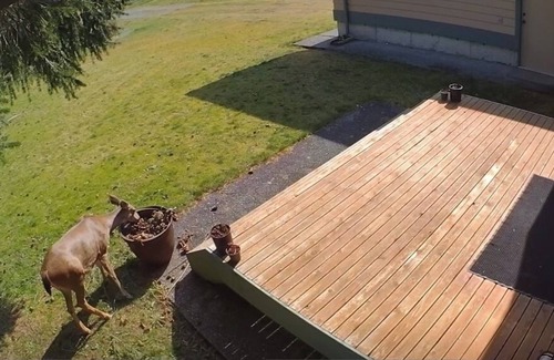 Anacortes Casa | Waterfront home on Guemes, the San Juan’s quietest island