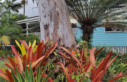 Brisbane Waterfront Casa | Waterside Caribbean vibe 3 brm Macleay Island bungalow on beautiful Moreton Bay