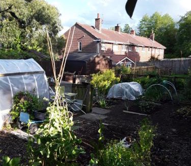 Belfast Casa | WAVENEY