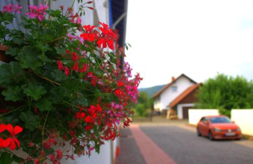 Munchweiler an der Rodalb Apartamento | Wdwell