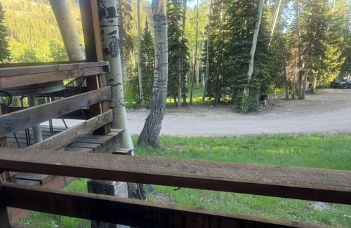 Beaver Condominio | We offer an allergy free environment. Thank you for no pets.smoking, or vaping.