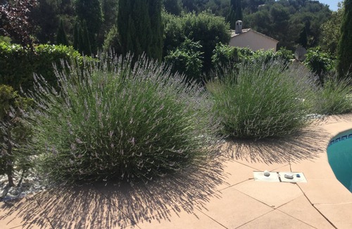 Aurons Casa | Le daremos la bienvenida en un pueblo típico en el corazón de la Provenza