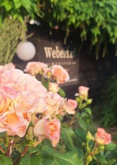 Munster Otro | Weberhof-Münster Glamping