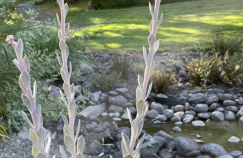 Cottage Grove Casa | Weddings, Events and Family gatherings.