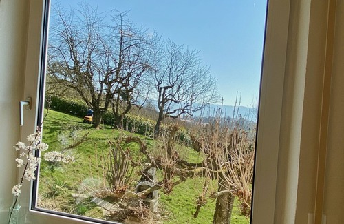 Lindau Apartamento | Weinberg Idyll vacation apartment - Fantastic view over vineyards to Lake Constance