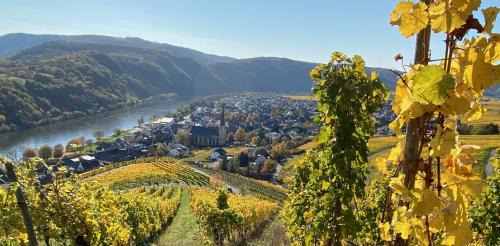 Krov Apartamento | Weingut Krupka Riverside