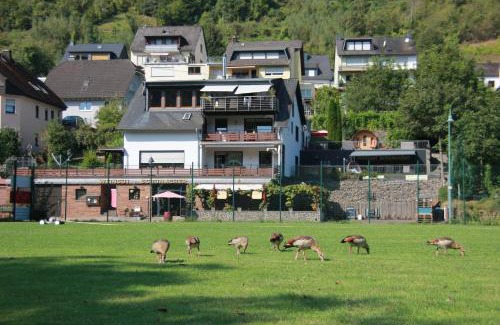 Sankt Aldegund Apartamento | Weingut Schumacher - mit privatem Saunabereich