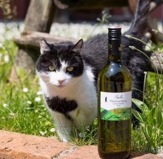Herrnbaumgarten Casa | Weingut zur Schlafmütze