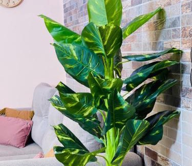 Rao Apartamento | Welcome Home Saint Louis