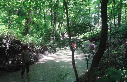 Marseilles Alquiler De RV | Welcome to our magical woods! Relax, unwind a world away but close to home.