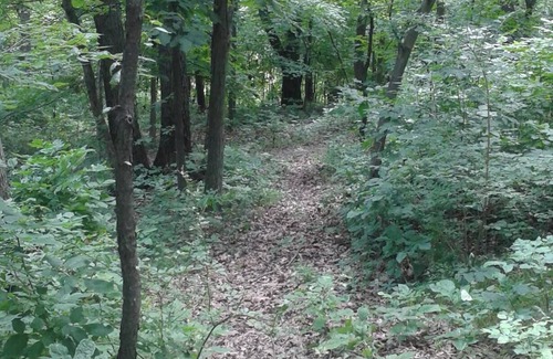 Marseilles Alquiler De RV | Welcome to our magical woods! Relax, unwind a world away but close to home.