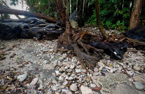 Honiara Casa | Welcome to Putuo Ecolodge, Hidden Germ of Solomon