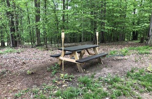 Portland Mills Casa | Welcome to the Lake City Cabin!