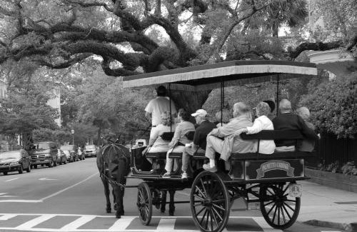 Isle of Palms Casa | Whale of a Time