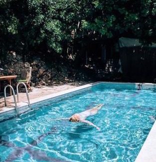 Amirim Complejo | where's grandma - איפה הסבתא