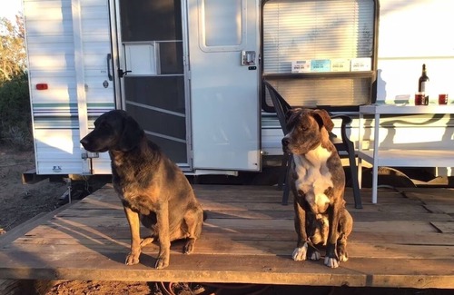 Monticello Apartamento | Whether you prefer the rustic charm of tent camping or the comfort of your own vehicle, our campgrounds offer a unique way to connect with nature without sacrificing accessibility. Enjoy the perfect blend of adventure and convenience.