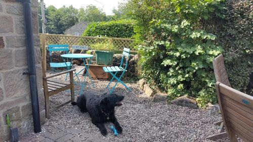 Tansley Casa | Whimsy by the Peaks - dogs stay free, private parking, fenced garden, pub
