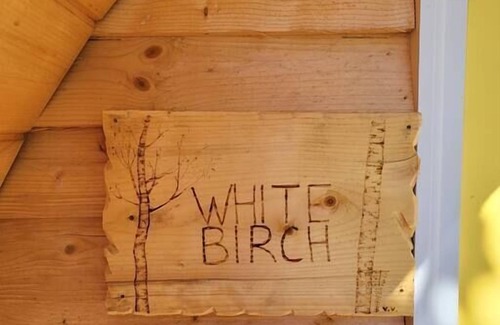 Ingonish Casa | White Birch Camping Pod