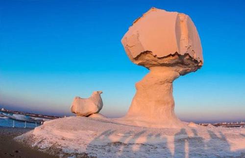 Bawati Otro | White Desert Safari With Camping