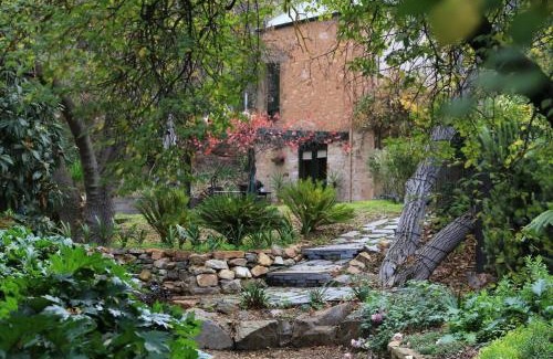 Upper Wakefield Cama Y Desayuno | Wild Olive Cottage Clare Valley