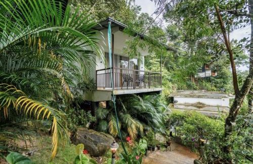 Kunchithanny Complejo | Wild Stories by Bestinn Leisure - Munnar