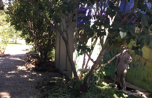 Wright Area Action Group Cabaña | WiLD Vines Bodega y Granja