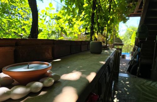 Mirchel Casa | Wild Wild Arnistein