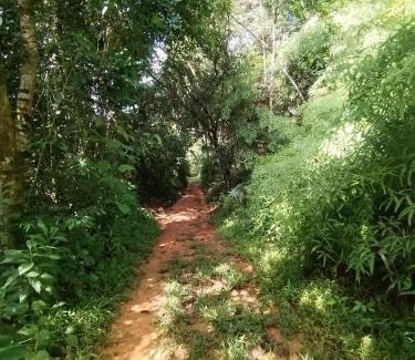 Platanillo Casa | Wildlife Reserve La Ceiba Ecoadventures