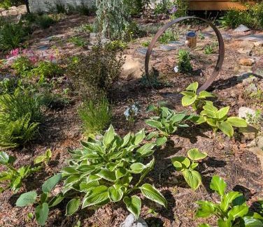 Altamont Casa | Wildwood Retreat Cabin