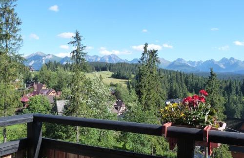 Bukowina Tatrzanska Cama Y Desayuno | Willa Litka