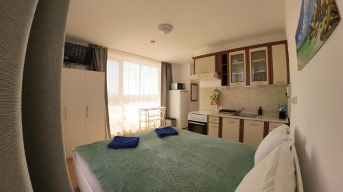 Sveti Vlas Apartamento | William's apartments - second cozy studio