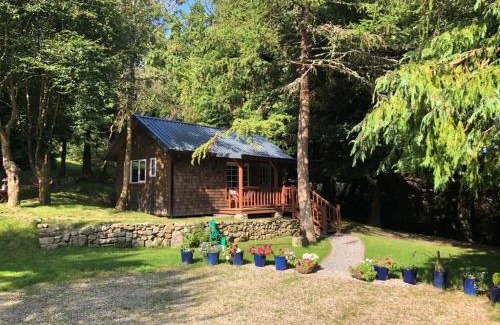 Dublin Cabina | Willow Lodge