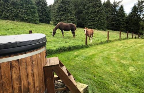 Dublin Cabina | Willow Lodge