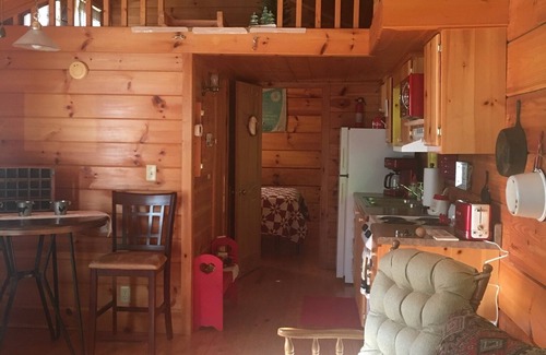 Asheville Cabina | Willow Pond/log cabin. Willow Pond invites you to relax.