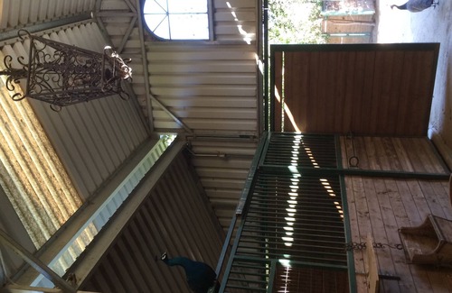 Temecula Casa | WIne Country Farm Stay; Clásico Retro Glamping!