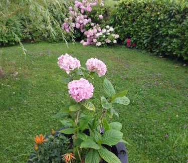 Perwang am Grabensee Apartamento | Wintergarten