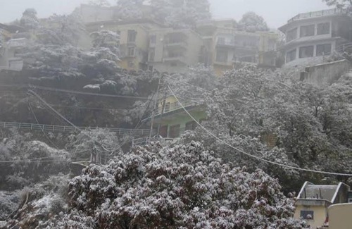 Mussoorie Casa | Wisteria home stay