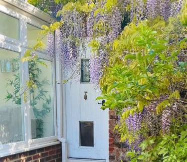 Langdon Casa | Wisteria Lodge, beautiful home in a great location