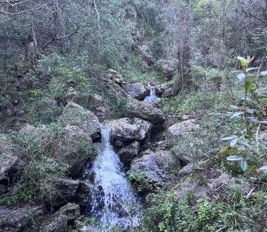 Patensie Apartamento | Witrivier Farmstay Self-Catering