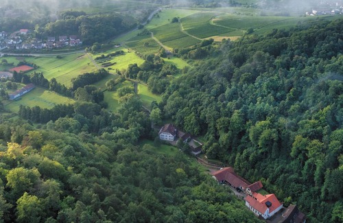 Klingenmuenster Apartamento | Wohnung 2 - Wochenpauschale - Weingut-gästehaus Porzelt