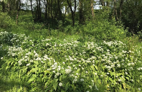 Wing Cabaña | Wonderful 4 Bedroom Cottage Sleeps 8